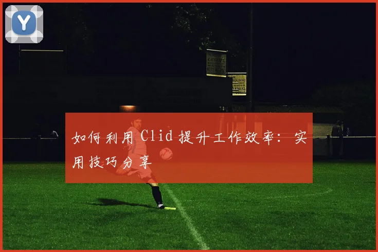 如何利用 Clid 提升工作效率：实用技巧分享