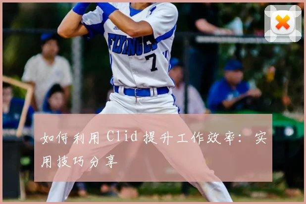 如何利用 Clid 提升工作效率：实用技巧分享