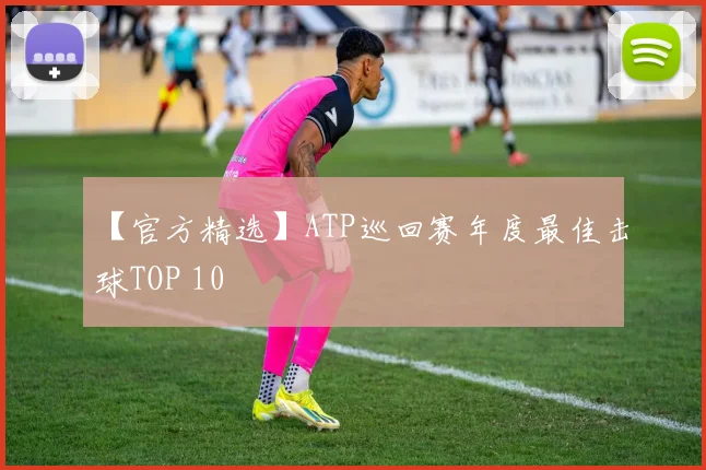 【官方精选】ATP巡回赛年度最佳击球TOP 10