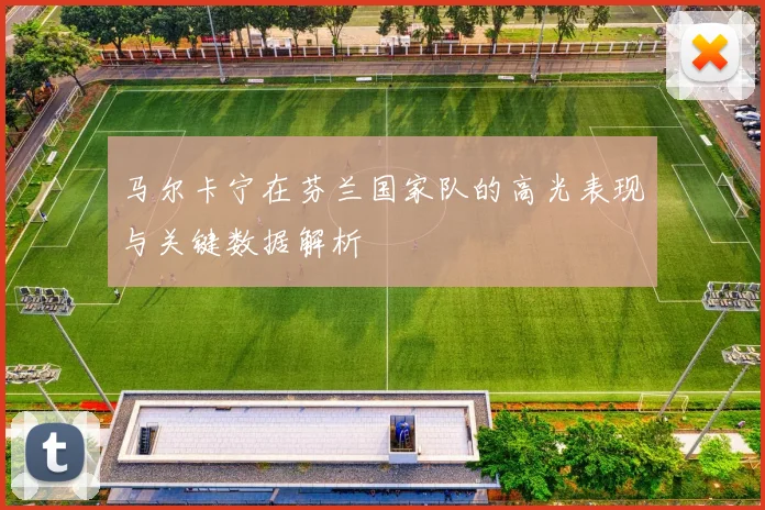 马尔卡宁在芬兰国家队的高光表现与关键数据解析